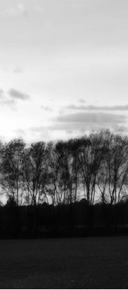 Picture of WINTER SUNSET BW IV