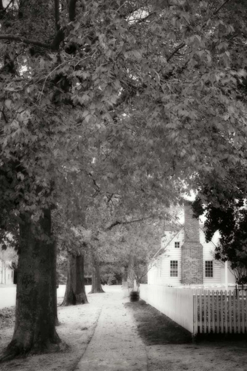 Picture of SMALL TOWN AUTUMN III