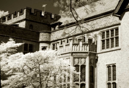 Picture of TUDOR MANSION II