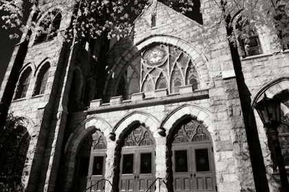 Picture of STATELY GOTHIC I