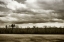 Picture of WINTER FIELDS III