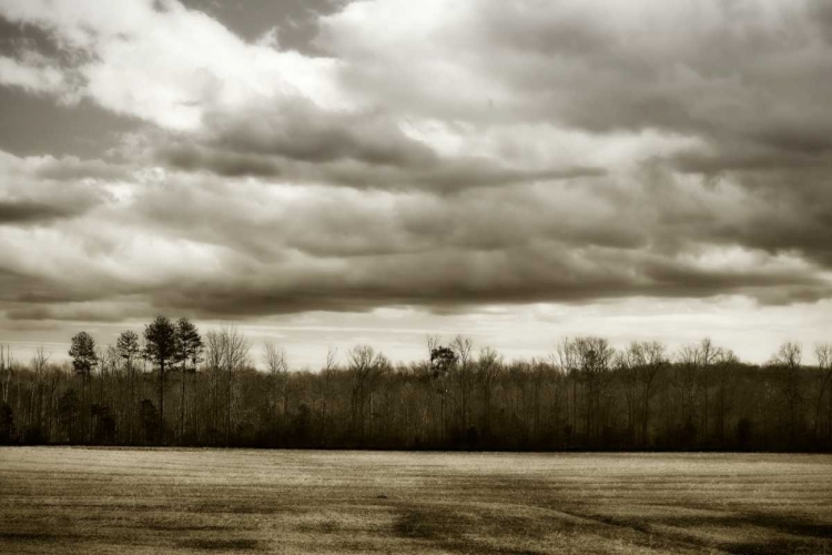 Picture of WINTER FIELDS III