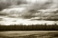 Picture of WINTER FIELDS IV