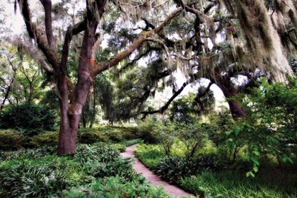 Picture of SULTRY GARDEN I