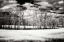 Picture of HANOVER WINTER II