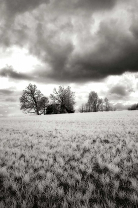 Picture of STORMY SKIES I