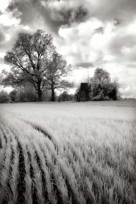 Picture of STORMY SKIES II