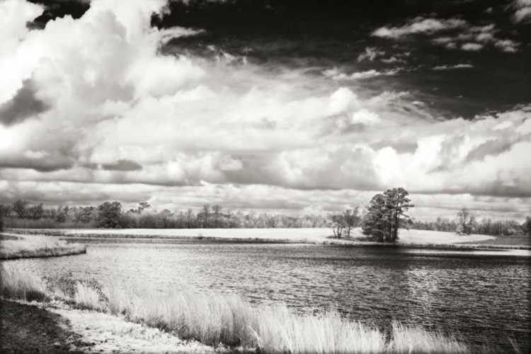 Picture of SHEARON LAKE I