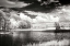 Picture of SHEARON LAKE II