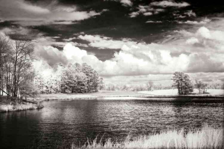 Picture of SHEARON LAKE II