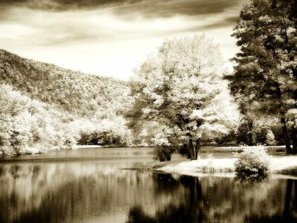 Picture of MOUNTAIN LAKE I