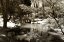 Picture of GARDEN BRIDGE I