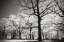 Picture of BRIGHT SPRING DAY II