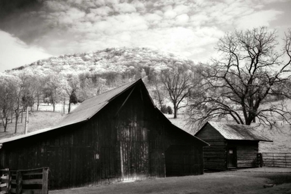 Picture of ALLEGHANY COUNTY I