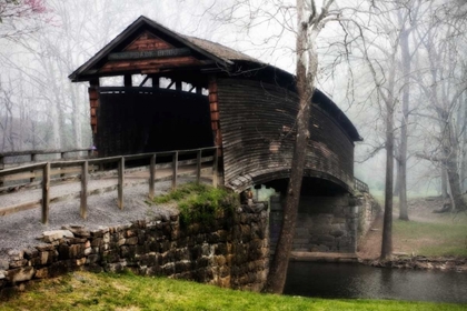 Picture of HUMPBACK BRIDGE I