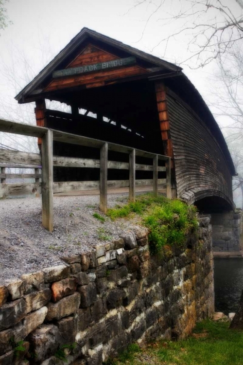 Picture of HUMPBACK BRIDGE III