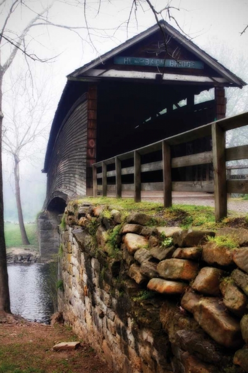 Picture of HUMPBACK BRIDGE IV