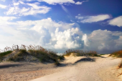 Picture of SUMMER DUNES I
