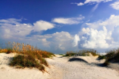 Picture of SUMMER DUNES II