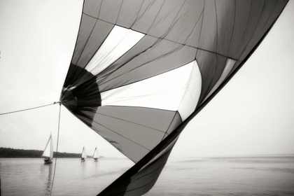 Picture of DOWNWIND II