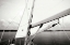 Picture of CLOSE HAULED III