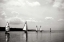 Picture of ON THE POTOMAC I