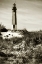 Picture of CAPE HENRY LIGHT I