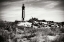 Picture of CAPE HENRY LIGHT V