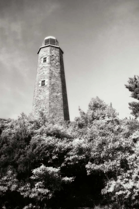 Picture of OLD CAPE HENRY LIGHT I