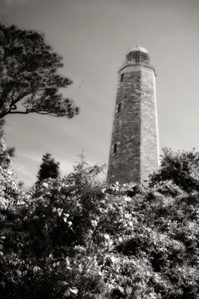 Picture of OLD CAPE HENRY LIGHT II