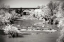 Picture of LEE BRIDGE I