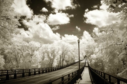 Picture of BOULEVARD BRIDGE I