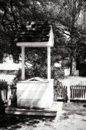 Picture of THE OLD WELL II
