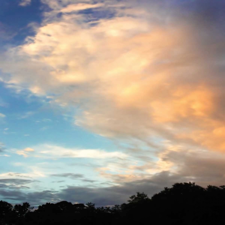 Picture of RAINBOW CLOUD SQ. II