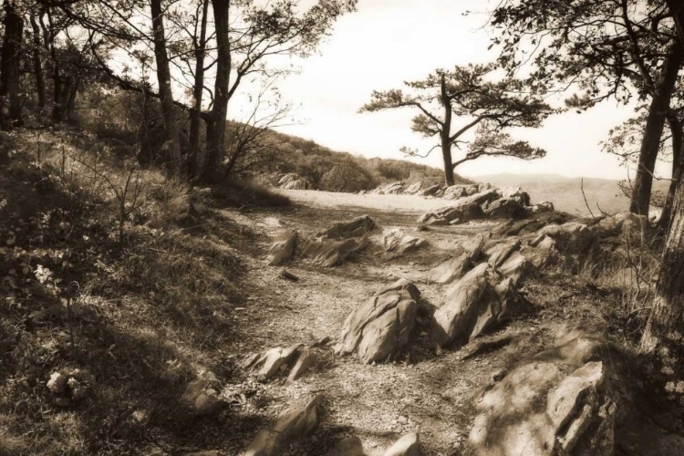 Picture of STONEY RIDGE I SEPIA