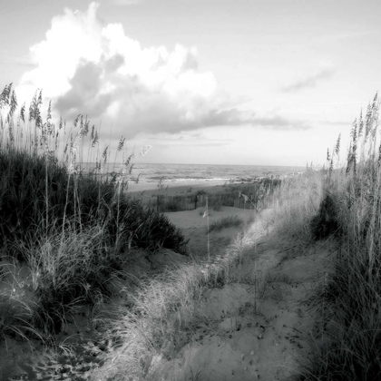 Picture of DUNES I SQ. BW