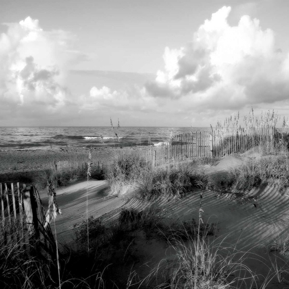 Picture of DUNES II SQ. BW