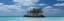 Picture of GAULDING CAY CONCH PANEL