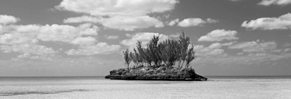 Picture of GAULDING CAY CONCH BW PANEL