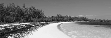 Picture of WINDING BAY II BW PANEL