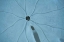 Picture of SAND DOLLAR II