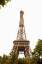 Picture of EIFFEL TOWER I