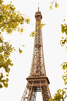 Picture of EIFFEL TOWER II