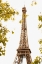 Picture of EIFFEL TOWER II