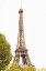Picture of EIFFEL TOWER III