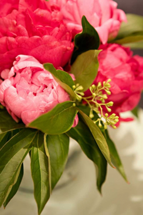 Picture of PEONIES I