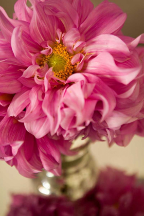 Picture of PINK BOUQUET
