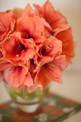 Picture of PEACH BOUQUET