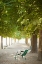 Picture of PLACE TO SIT III