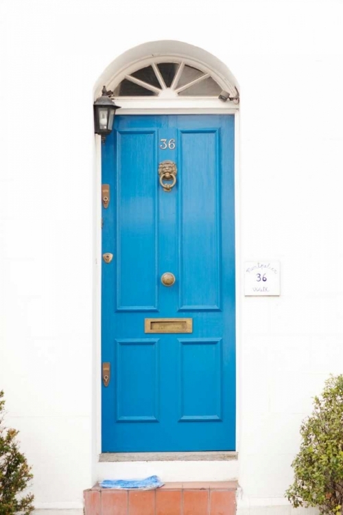 Picture of BLUE DOOR